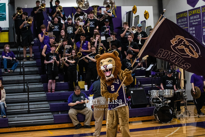 Reggie the Lion Mascot